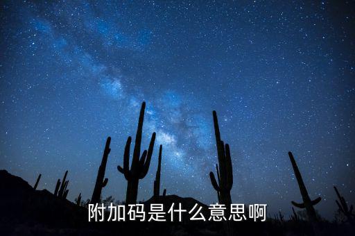 遼寧查發(fā)票有一個(gè)附加碼是什么，發(fā)票真?zhèn)尾樵兇a是什么