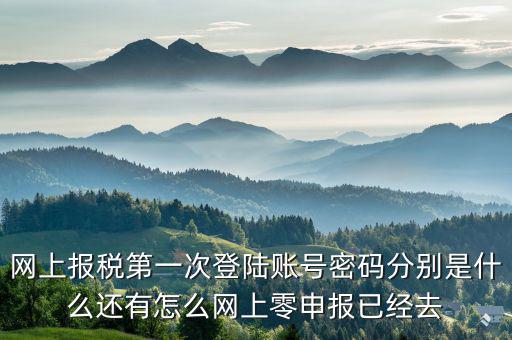 網(wǎng)上報(bào)稅第一次登陸賬號密碼分別是什么還有怎么網(wǎng)上零申報(bào)已經(jīng)去
