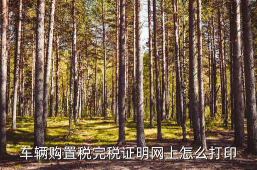 什么是購(gòu)置稅完稅證明，車輛購(gòu)置稅完稅證明是什么它在二手車交易中起什么作用