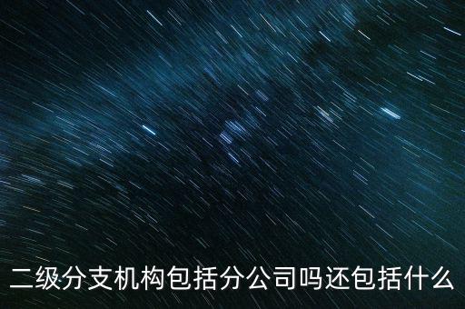 什么是二級分支機構，現(xiàn)在分公司要辦稅務登記證但是我想問一下二級分機構指的是