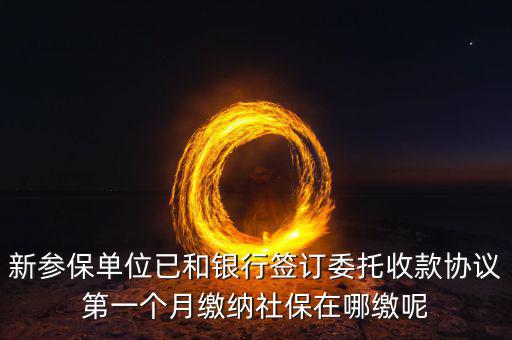 什么時(shí)候辦理授權(quán)劃繳協(xié)議，如何取得委托銀行劃轉(zhuǎn)地方稅費(fèi)授權(quán)書(shū)協(xié)議書(shū)去銀行還是去地稅