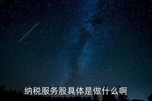 納稅服務(wù)股是什么意思，納稅服務(wù)股具體是做什么啊