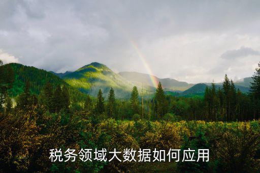 稅務領域大數據如何應用
