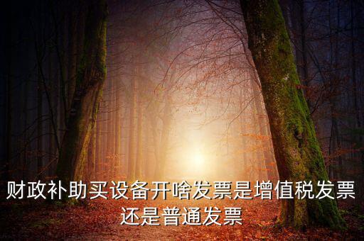 財政補助買設(shè)備開啥發(fā)票是增值稅發(fā)票還是普通發(fā)票