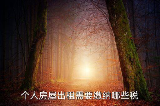 個(gè)人租房交什么稅，個(gè)人出租房屋要交什么稅費(fèi)