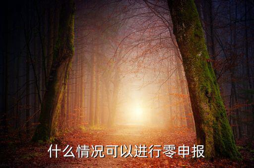 什么情況下可以一鍵零申報，什么情況可以進行零申報