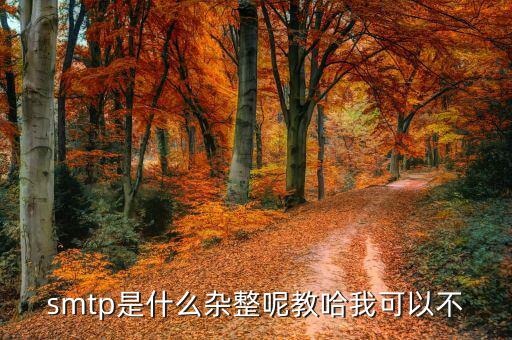 麥拓通訊是什么，麥拓廣告公司的面試測(cè)試是不是騙子公司