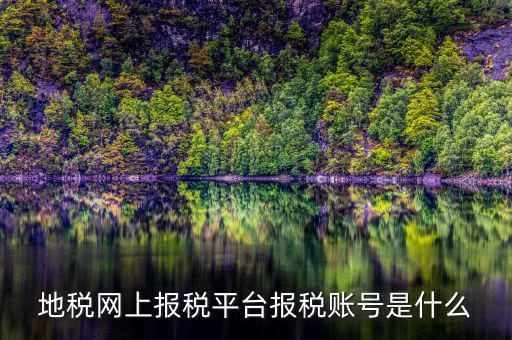 地稅網(wǎng)上報(bào)稅平臺報(bào)稅賬號是什么