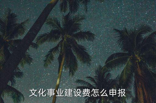 申報(bào)系統(tǒng)文化建設(shè)申報(bào)是什么時(shí)候，文化事業(yè)建設(shè)稅怎么申報(bào)
