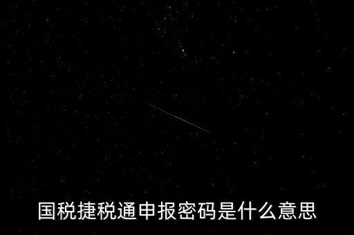 稅務(wù)軟件申報(bào)密碼是什么意思，納稅申報(bào)密碼是什么