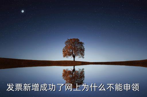發(fā)票新增成功了網(wǎng)上為什么不能申領