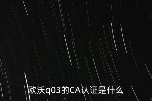 ca認證密碼是什么意思，歐沃q03的CA認證是什么