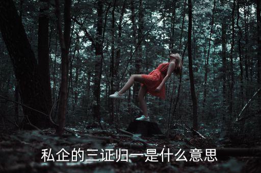 公司的三證合一是什么，什么是三證合一
