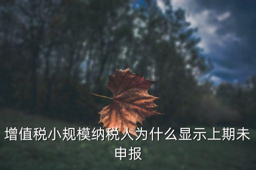 報(bào)稅顯示往期未申報(bào)什么原因，五年前已經(jīng)報(bào)稅了系統(tǒng)上顯示2017年7月份到2018年的10月份顯示沒