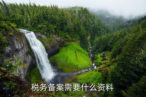 去地稅備案需要帶什么資料，想問辦理地稅備案需要拿什么資料
