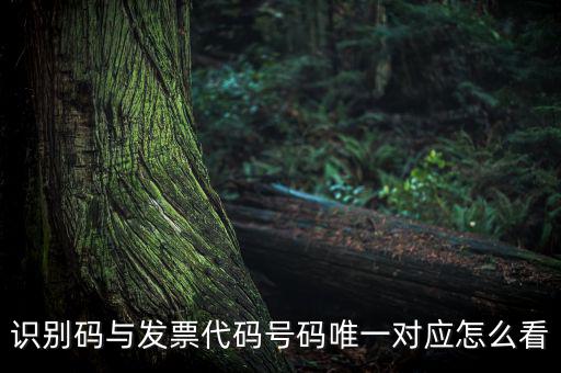 發(fā)票查詢識(shí)別碼是什么，識(shí)別碼與發(fā)票代碼號(hào)碼唯一對應(yīng)怎么看
