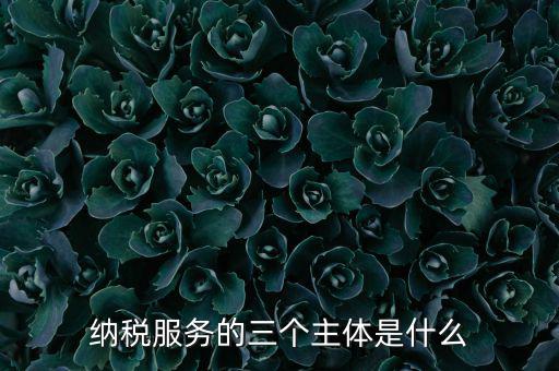 納稅服務(wù) 是什么，納稅服務(wù)的三個(gè)主體是什么