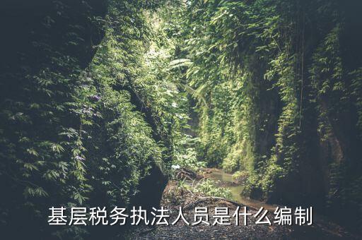 基層稅收?qǐng)?zhí)法干什么的，基層稅務(wù)執(zhí)法人員是什么編制