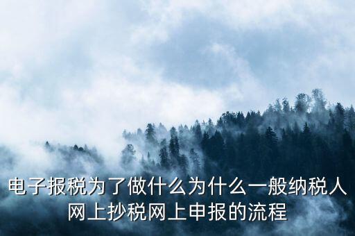 電子稅務(wù)申報(bào)是什么來的，電子申報(bào)納稅是怎么回事給報(bào)送紙質(zhì)申報(bào)材料一樣嗎