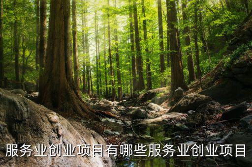 服務(wù)業(yè)有什么進(jìn)項，服務(wù)業(yè)營改增哪些可以抵扣