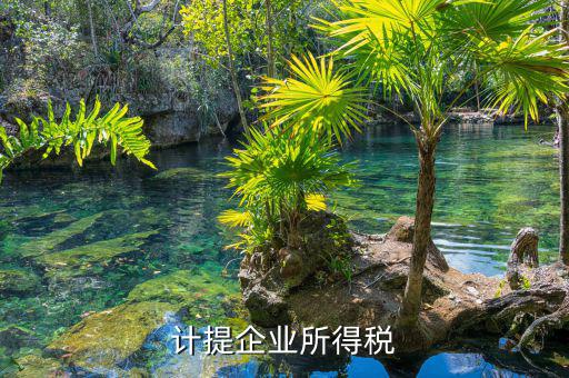 計(jì)提企業(yè)所得稅是什么意思，計(jì)提企業(yè)所得稅