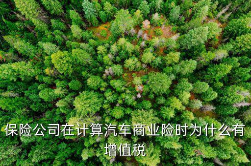 車輛保險增值稅是什么意思，保險公司在計算汽車商業(yè)險時為什么有增值稅