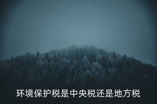 環(huán)境保護(hù)稅的機(jī)關(guān)是什么，環(huán)境保護(hù)稅由哪個機(jī)關(guān)負(fù)責(zé)征收
