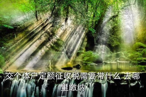 個體戶定額需要準備什么，交個體戶定額征收稅需要帶什么 去哪里繳納