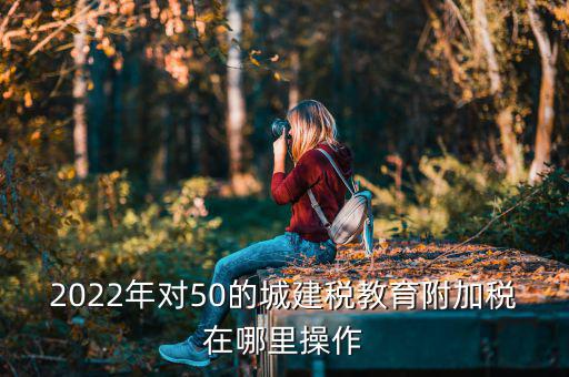 城建稅 教育費(fèi)附加在什么界面報(bào)稅，城建稅地方教育費(fèi)附加教育費(fèi)附加怎么報(bào)稅怎么操作
