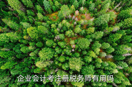 企業(yè)會計(jì)考注冊稅務(wù)師有用嗎