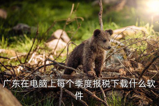 什么是報(bào)稅的客戶端呢，河北國(guó)稅網(wǎng)上申報(bào)客戶端和防偽稅控納稅接口 不都是報(bào)稅系統(tǒng)嗎 它