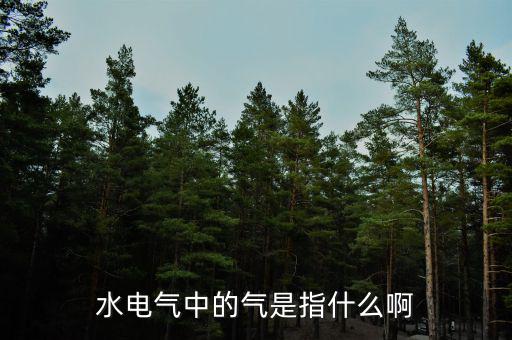 水電氣退稅氣指什么，公租房的水電氣的氣是指什么