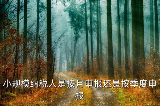 小規(guī)模納稅人按季申報是指什么，增值稅小規(guī)模納稅人按季申報怎么填