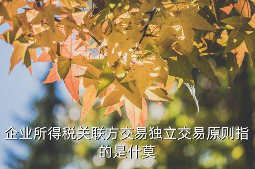 什么是合理商業(yè)目的，如何判斷企業(yè)實(shí)施的納稅籌劃不具有合理商業(yè)目的