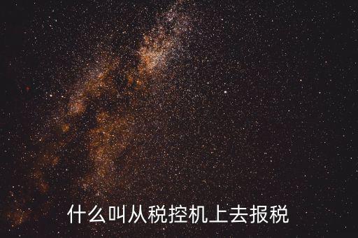 什么是稅控機的即時申報，稅控機申報記錄甚么意思
