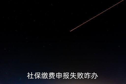 社保費申報為什么進不去，社保繳費申報失敗咋辦
