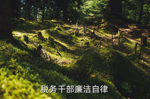 為什么要加強稅務人員的廉潔，稅務干部廉潔十五不準是那年實施的