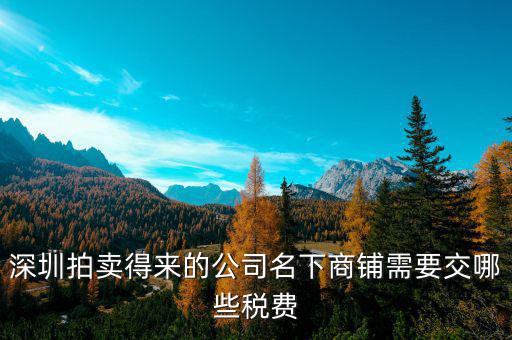 拍賣公司交什么稅，拍賣公司取得的傭金收入2000交哪些稅