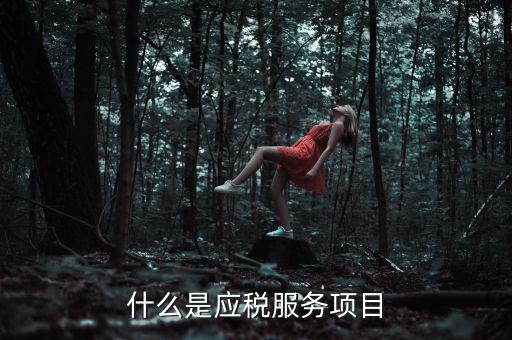 什么事納稅服務(wù)，什么是應(yīng)稅服務(wù)項(xiàng)目