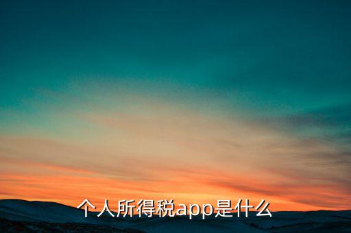 網(wǎng)上交稅要下載什么東西，個人所得稅官網(wǎng)登錄企業(yè)個人所得稅要下載什么端口申報