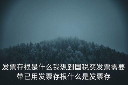 發(fā)票電子存根是什么，發(fā)票存根是什么