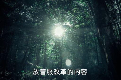 稅務放管服的內容是什么，放管服改革的內容