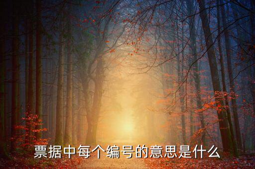 票據中每個編號的意思是什么