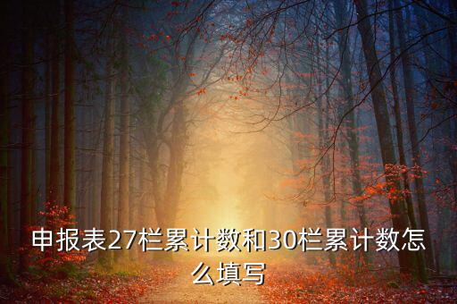 什么是期初未繳稅額，申報(bào)表27欄累計(jì)數(shù)和30欄累計(jì)數(shù)怎么填寫