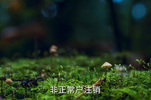 非正常戶個(gè)稅注銷需要什么，非正常戶注銷