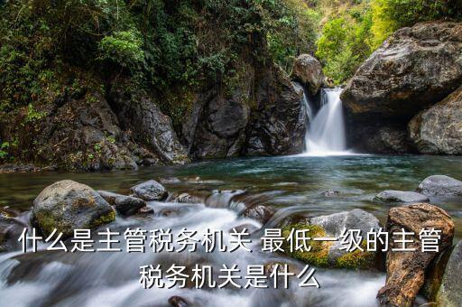 主管稅務機關是什么，稅務登記的主管稅務機關是