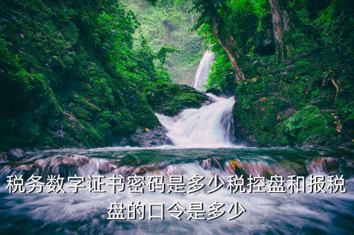 稅控盤稅務(wù)數(shù)字證書密碼是什么，稅控證書密碼是多少只有可能是8位嗎