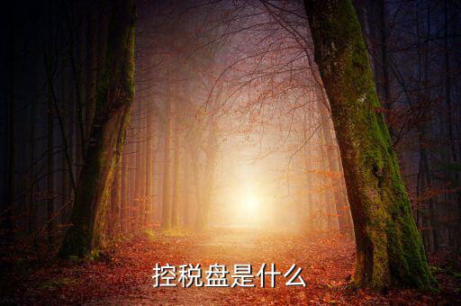 稅控盤是什么，稅控發(fā)票開票軟件 和金稅盤是什么意思