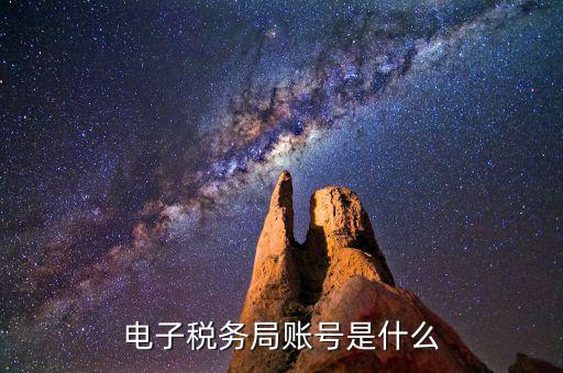 浙江省網(wǎng)上稅務(wù)局的賬號(hào)是什么意思，電子稅務(wù)局賬號(hào)是什么號(hào)碼
