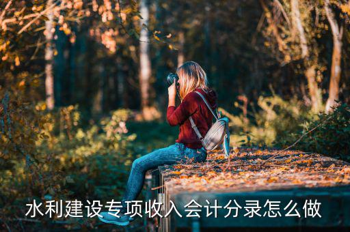 水利建設(shè)專項收入是什么，水利建設(shè)專項收入會計分錄怎么做